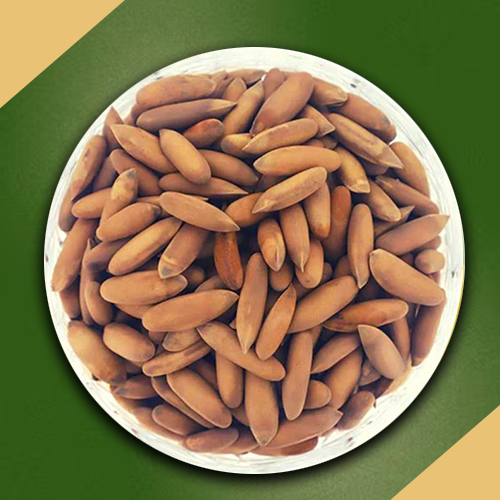 Brown Chilghoza